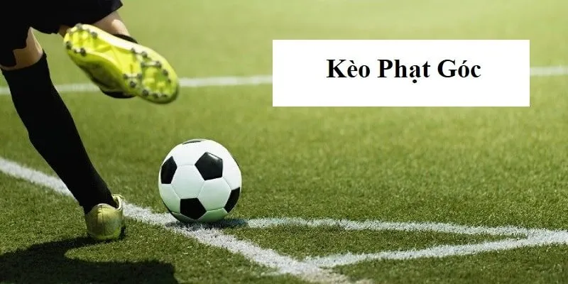 Soi kèo phạt góc - Hướng dẫn và chiến lược chiến thắng từ chuyên gia 2 Có nhiều loại kèo phạt góc được tích hợp trong trận đấu